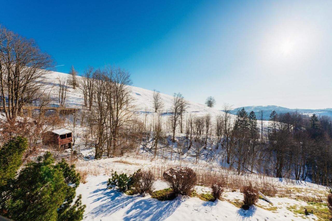 Bergschwalbe St. Andreasberg Apartment Санкт Андреасберг Екстериор снимка